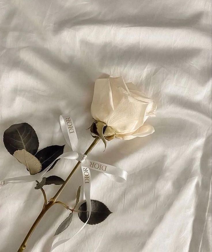 Braveloft Studio workshop space where corporate flower arrangements are designed and prepared for business delivery